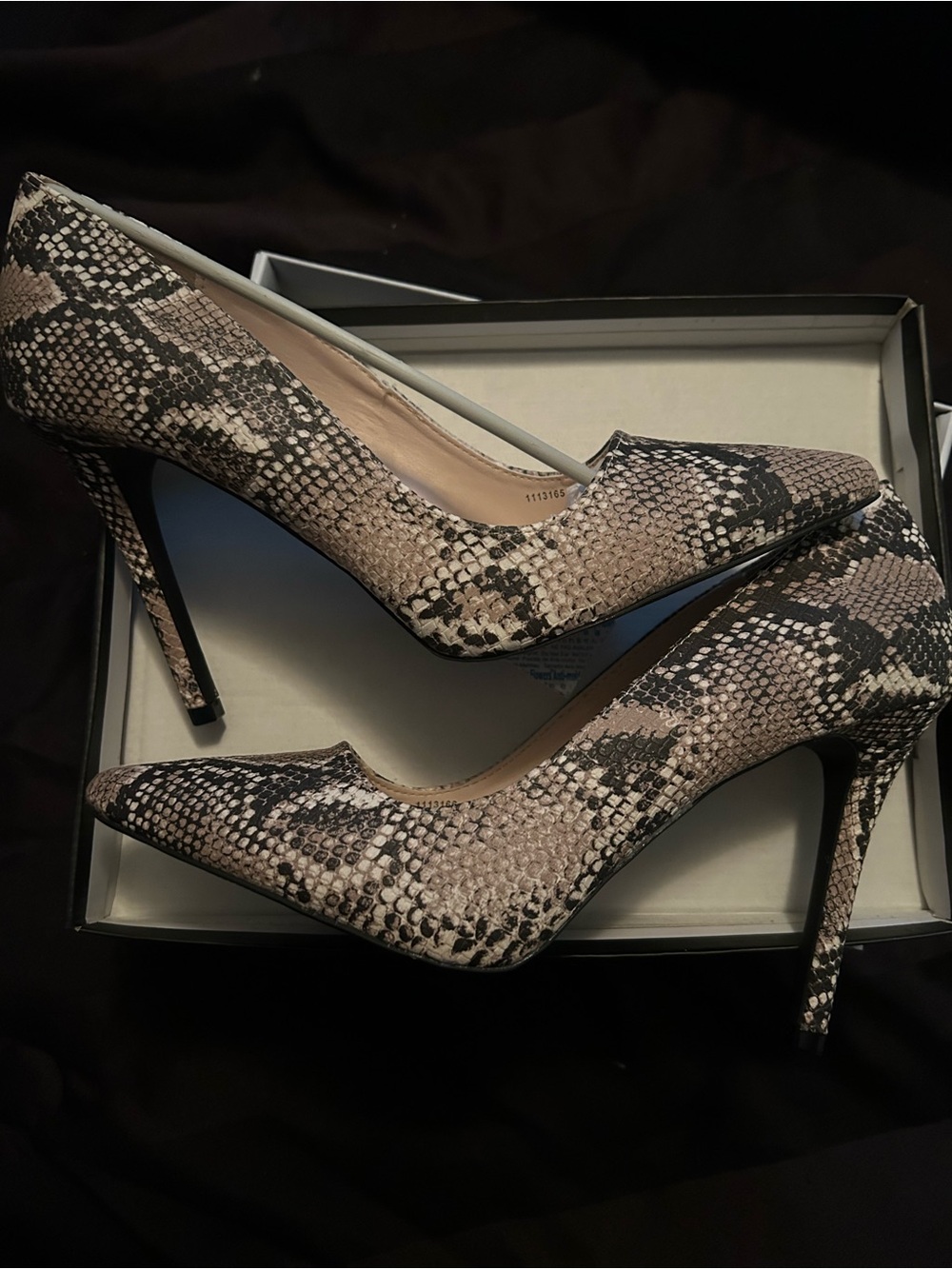 Snake-Print Pointed Toe Stiletto Pumps - Women's